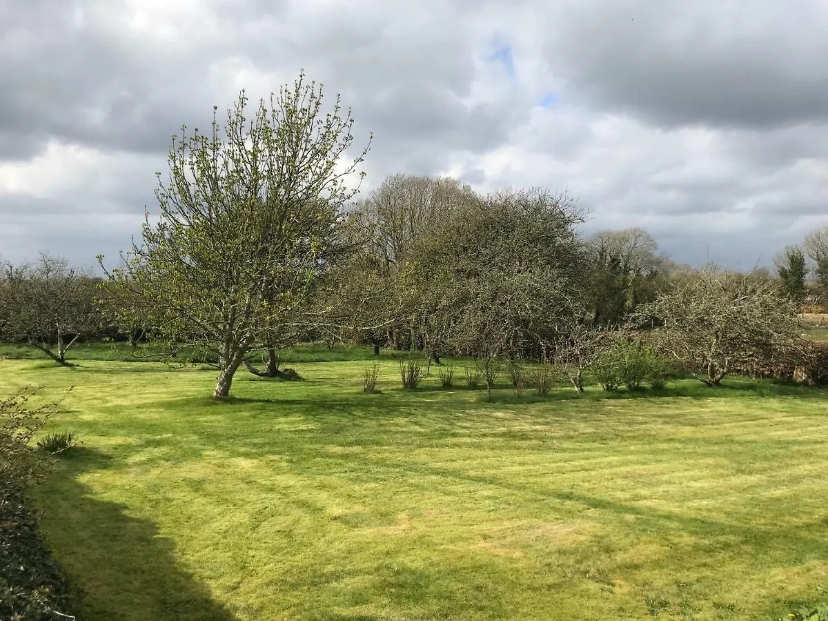 Corrib View Farmhouse 戈尔韦 爱尔兰