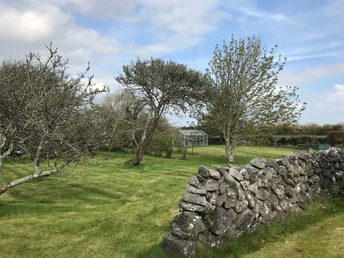 Corrib View Farmhouse 戈尔韦 0*,  爱尔兰